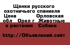 Щенки русского охотничьего спаниеля › Цена ­ 6 000 - Орловская обл., Орел г. Животные и растения » Собаки   